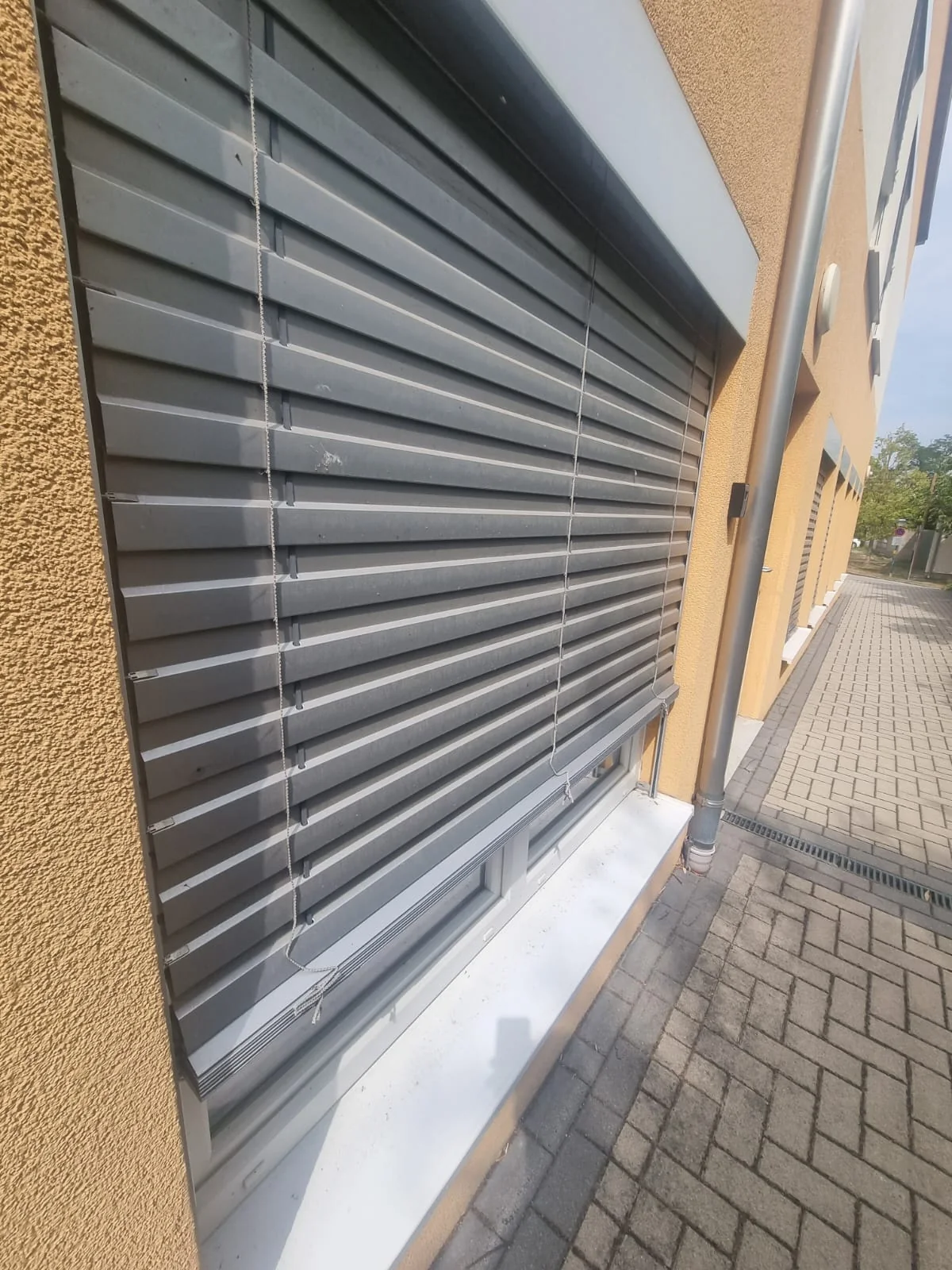 Aufnahme der Bibliothek Reisenberg, Bild 1